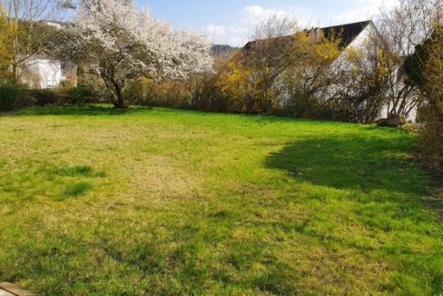 sonniger Garten zur Mitbenutzung