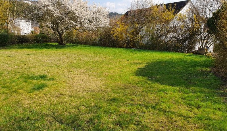 sonniger Garten zur Mitbenutzung