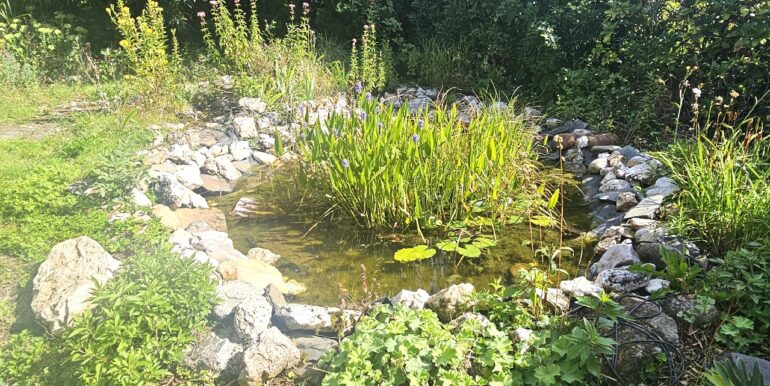 mit Gartenteich