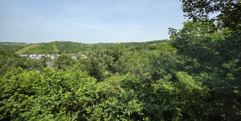 mit herrlichem Blick in den eigenen Wald